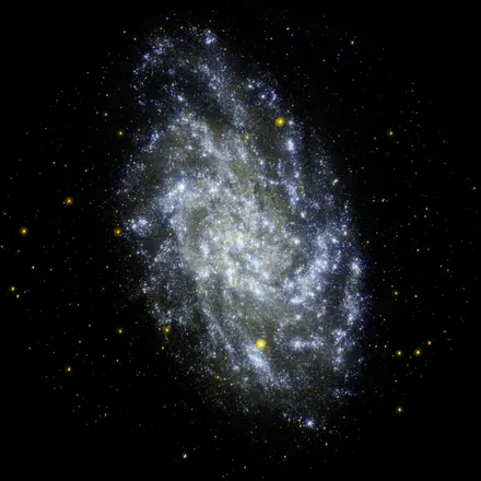Space-telescope photo of Triangulum (M33)
